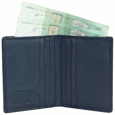 Credit holder Tony Perotti from the collection Cortina.