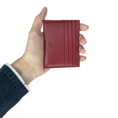 Credit holder Tony Perotti from the collection Cortina.
