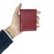 Credit holder Tony Perotti from the collection Cortina.