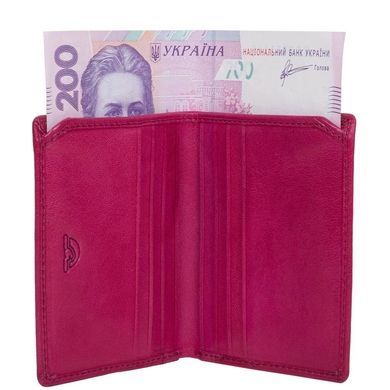 Credit holder Tony Perotti from the collection Top Kapi.