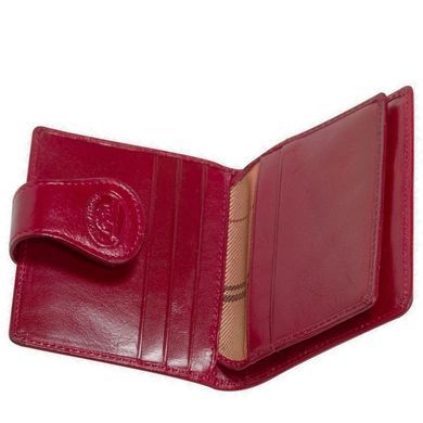Credit holder Tony Perotti from the collection Accademia.
